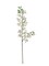 3-Pack: Cream Dendrobium Spray, 34-Inch, Silk Flowers, Spring & Summer, Floral Sprays by Floral Home®